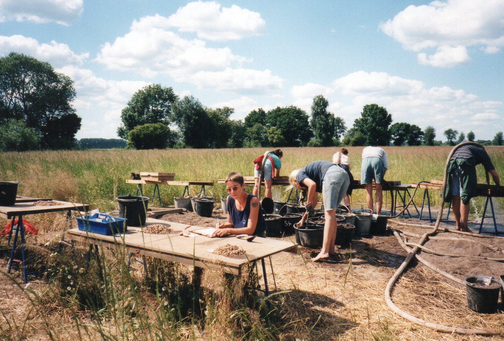 Weitsche05.jpg