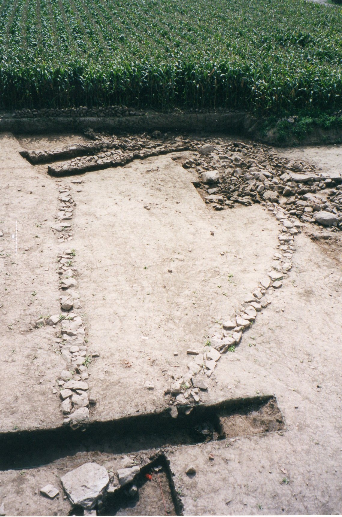 03-.1-36.jpg